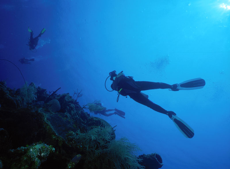 Jill diving the wall