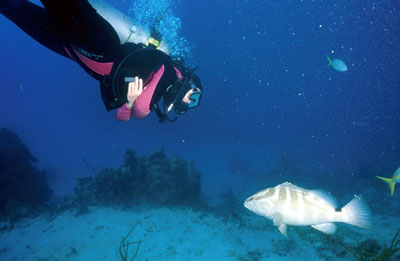 Jill and a friendly grouper from the Prince Albert Wreck