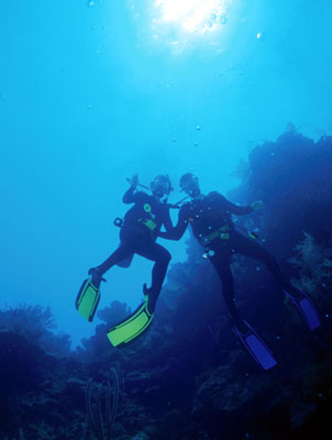 Steve and Tiff doing a wall dive