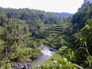 Bali