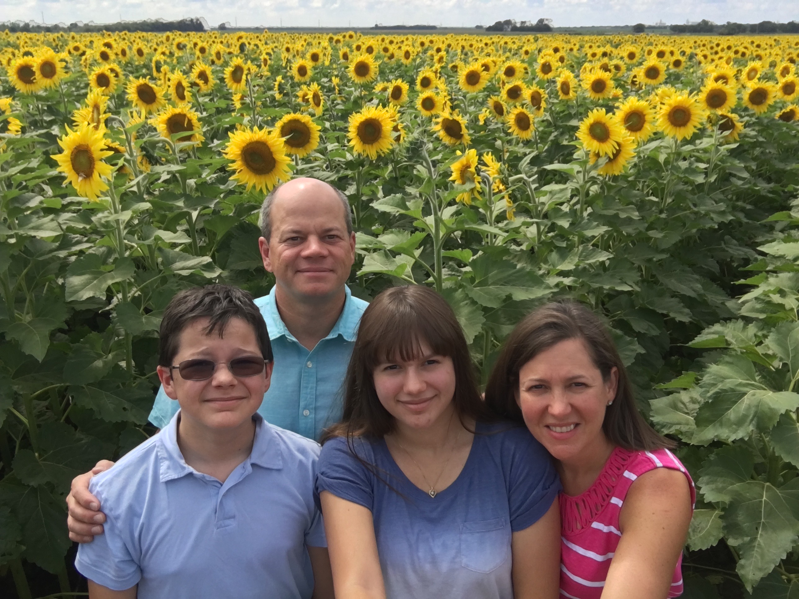 Kansas Sunflowers